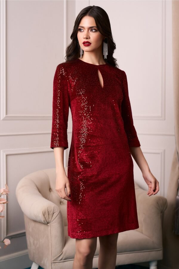 Rochie DY Fashion eleganta din catifea cu paiete bordo