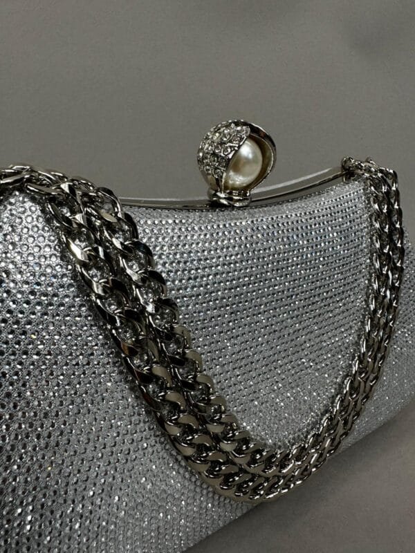 Clutch Show Silver - imagine 2