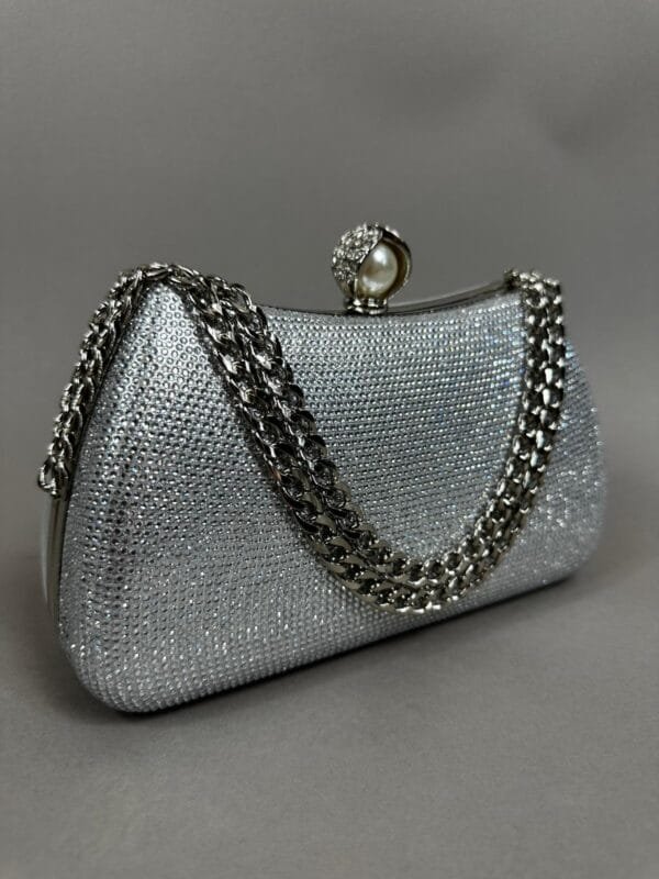 Clutch Show Silver